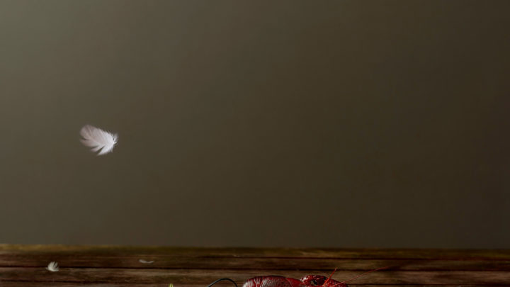 Surf & Turf Krimpenerwaard